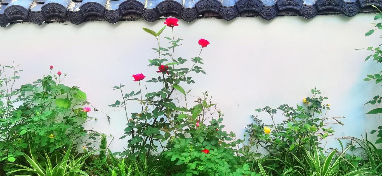 Tujia Folk Houses 장가계 외부 사진